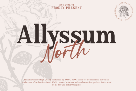 Allyssum North Font Duo for Web Design