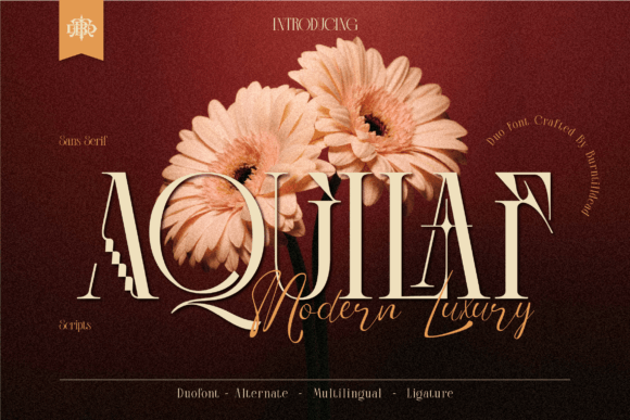 Aquilaf: A Modern Serif and Script Font Review