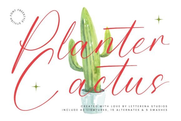 Planter Cactus: A Luxury Script Font for Campaigns